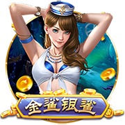 国产理论片正式版